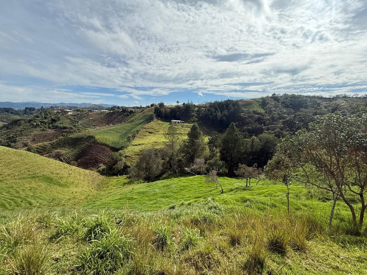 LOTE EN GIRARDOTA / VEREDA EL YARUMO